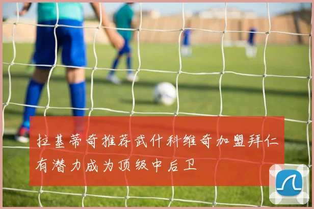 拉基蒂奇推荐武什科维奇加盟拜仁有潜力成为顶级中后卫