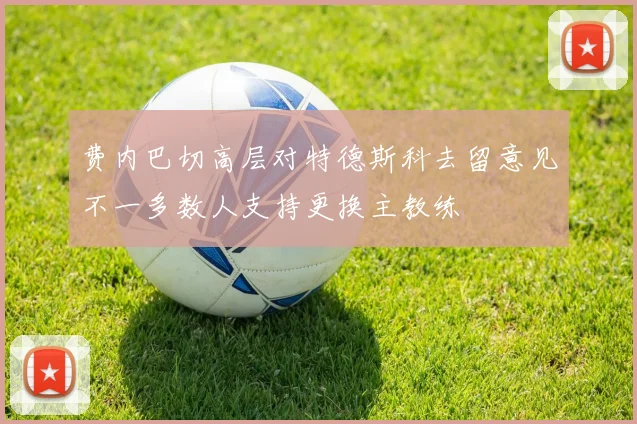 费内巴切高层对特德斯科去留意见不一多数人支持更换主教练